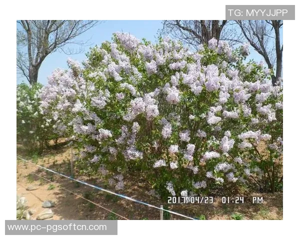 pg电子游艺飞翟3yb。app-探索PG电子游艺世界的新领域—飞翟YBAPP探秘之旅-pg电子游艺飞翟3yb。app pg电子游艺飞翟3yb。app-探索PG电子游艺世界的新领域—飞翟YBAPP探秘之旅-pg电子游艺飞翟3yb。app